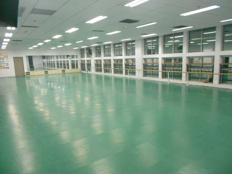 河北保定市河北大学艺术学院舞蹈麻豆传煤一区免费入站口