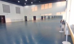沈阳市浑南新区沈阳歌舞团舞蹈麻豆传煤一区免费入站口