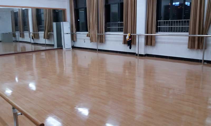 江西省宜春市外国语学校舞蹈麻豆传煤一区免费入站口