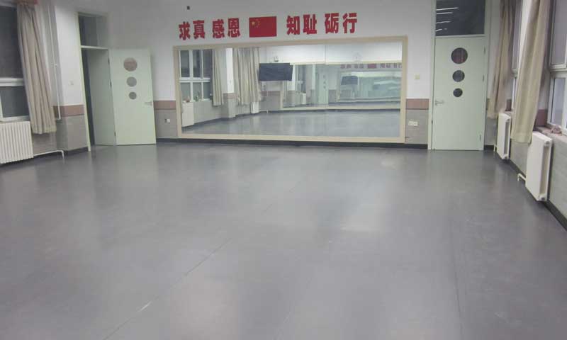 北京第一实验小学舞蹈室麻豆传煤一区免费入站口