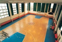 军事科学院体育馆室内篮球场麻豆传煤一区免费入站口