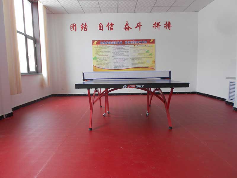 乒乓球场地使用塑胶乒乓球运动麻豆传煤一区免费入站口是趋势
