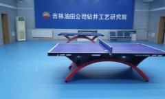 乒乓球麻豆传煤一区免费入站口多少钱一平方米